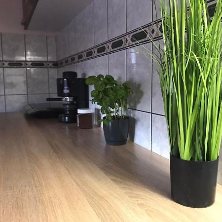 דירות Hajdúszoboszló Tahiti Apartman מראה חיצוני תמונה