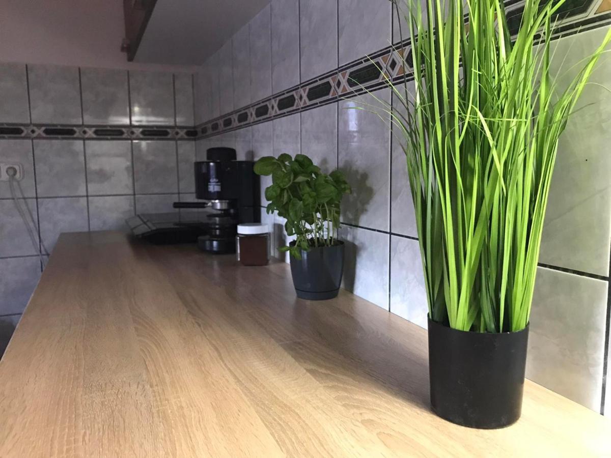 דירות Hajdúszoboszló Tahiti Apartman מראה חיצוני תמונה